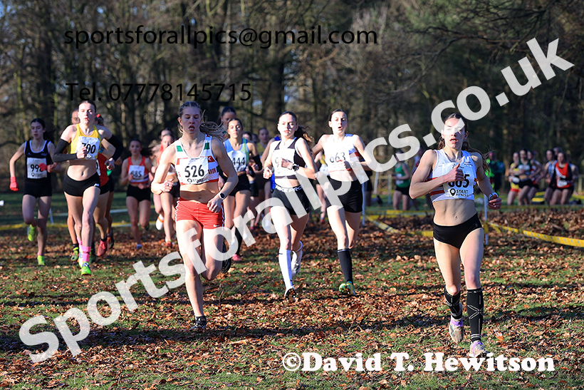 Womens under-17s 2025 Northern Cross Country Champs, Tatton Park, Knutsford, Cheshire. Photo: David T. Hewitson/Sports for All Pics